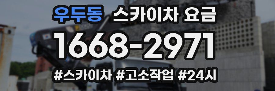 우두동 스카이차 요금