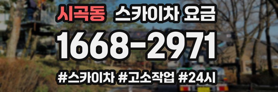 시곡동 스카이차 요금