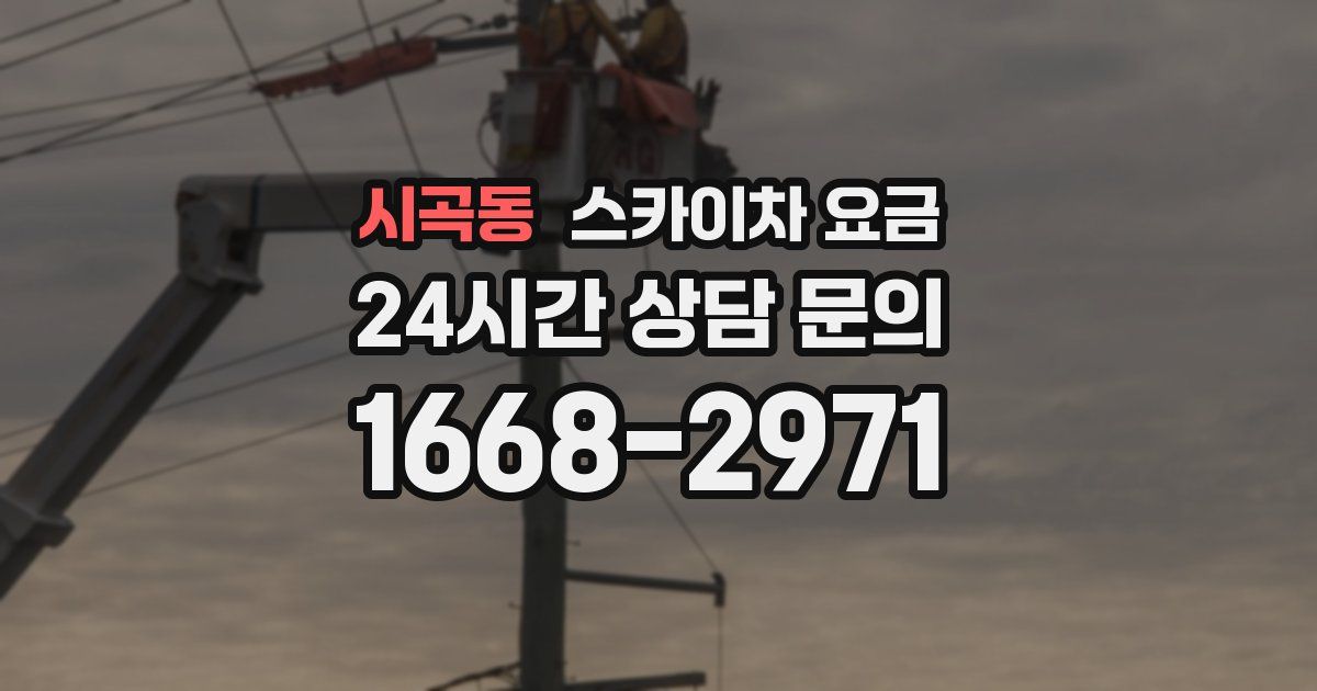시곡동 스카이차 요금