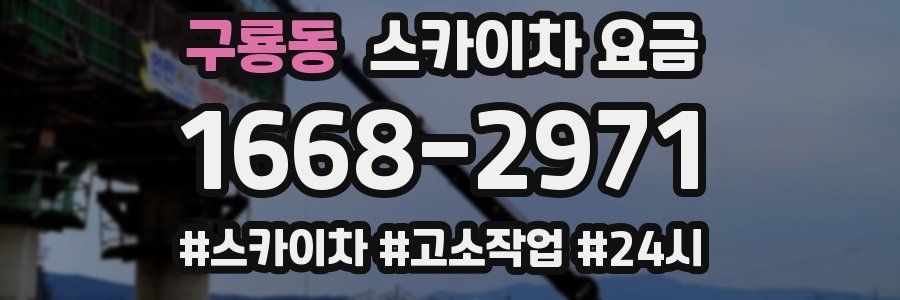 구룡동 스카이차 요금