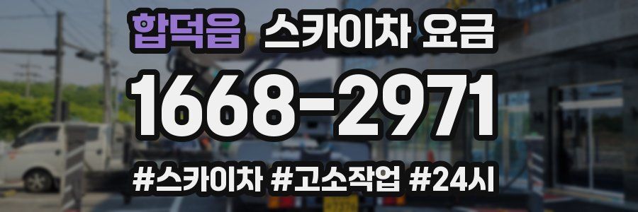 합덕읍 스카이차 요금