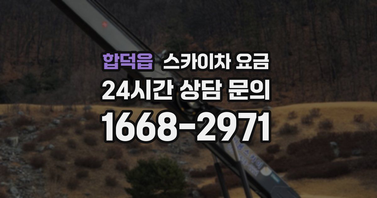 합덕읍 스카이차 요금
