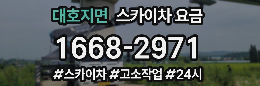 대호지면 스카이차 요금