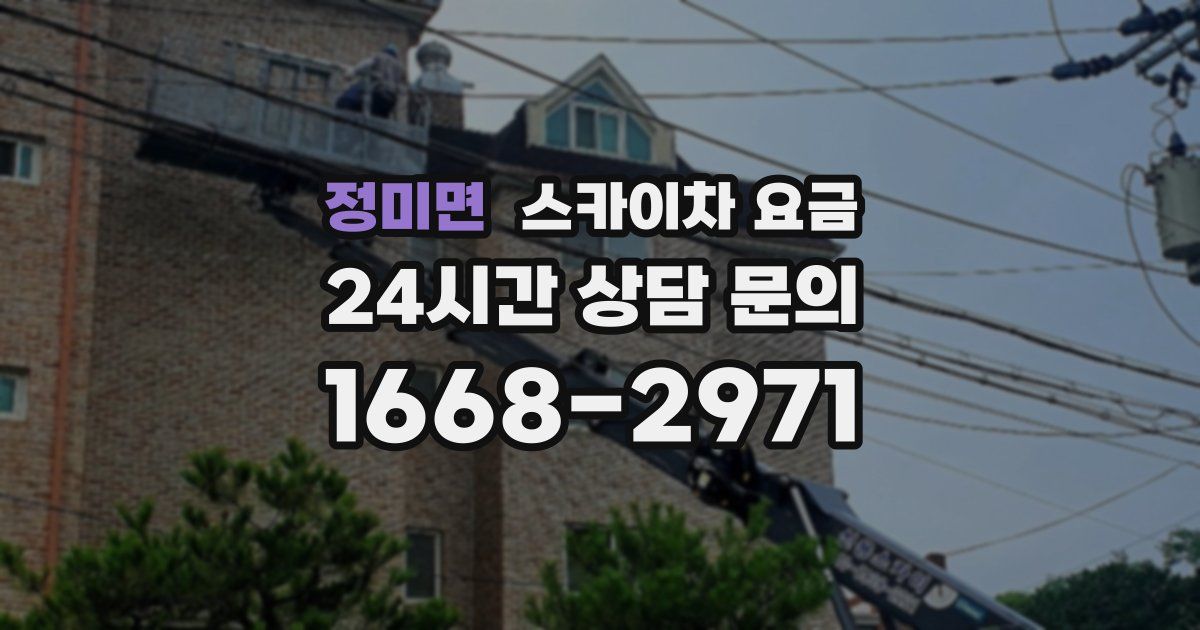 정미면 스카이차 요금