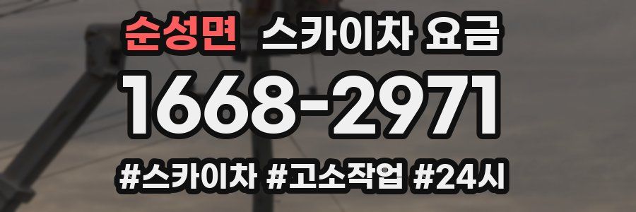 순성면 스카이차 요금