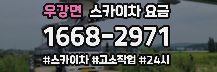 우강면 스카이차 요금