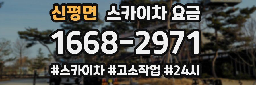 신평면 스카이차 요금