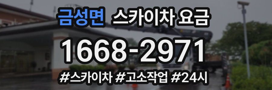 금성면 스카이차 요금