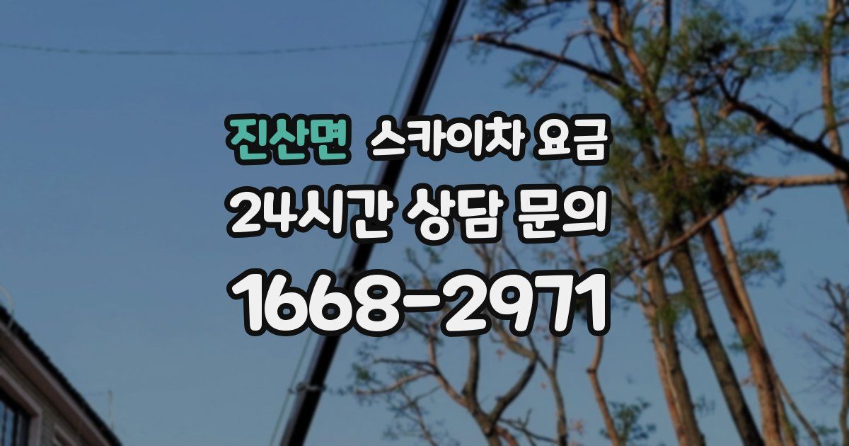 진산면 스카이차 요금
