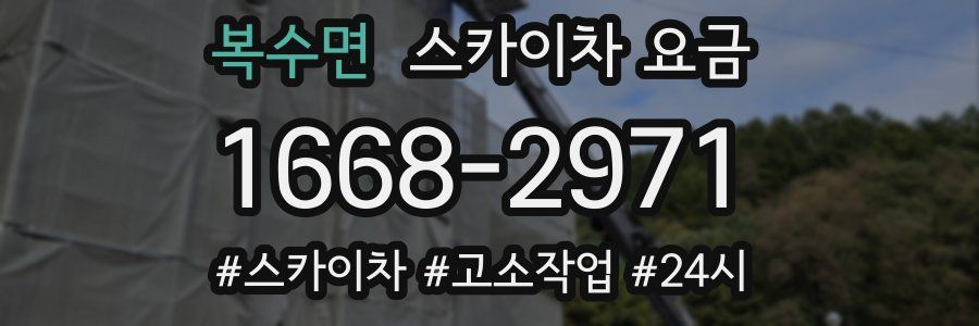 복수면 스카이차 요금