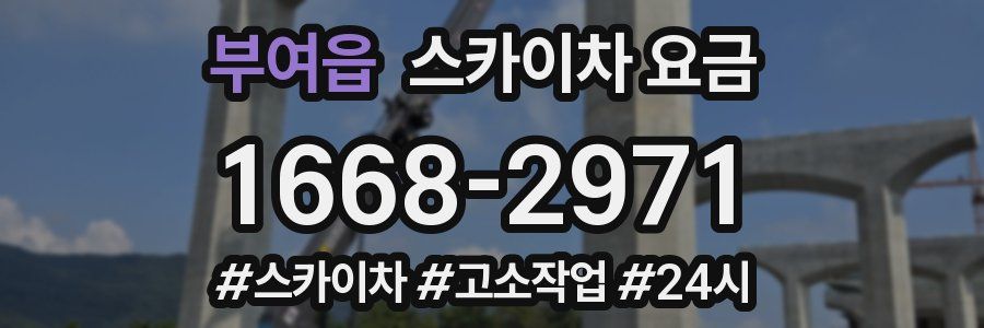 부여읍 스카이차 요금