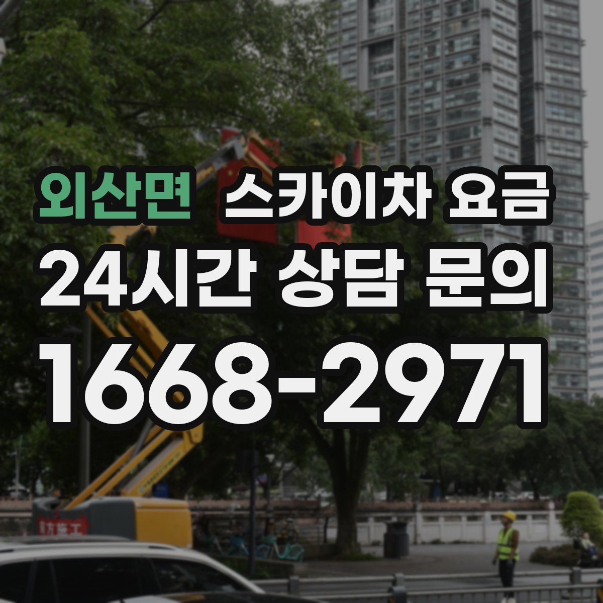 외산면 스카이차 요금