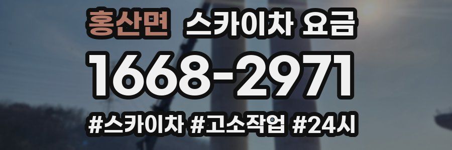 홍산면 스카이차 요금