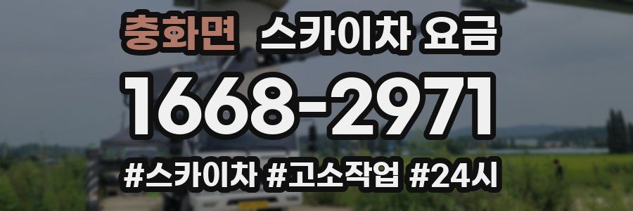 충화면 스카이차 요금
