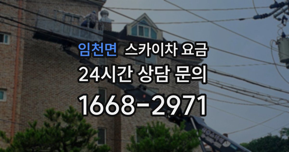 임천면 스카이차 요금
