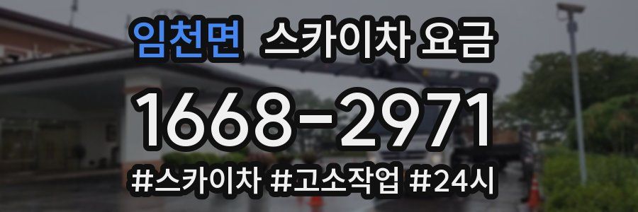 임천면 스카이차 요금