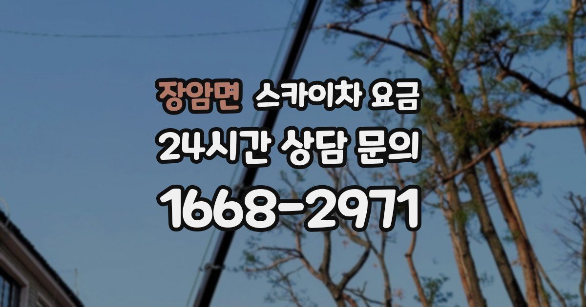 장암면 스카이차 요금