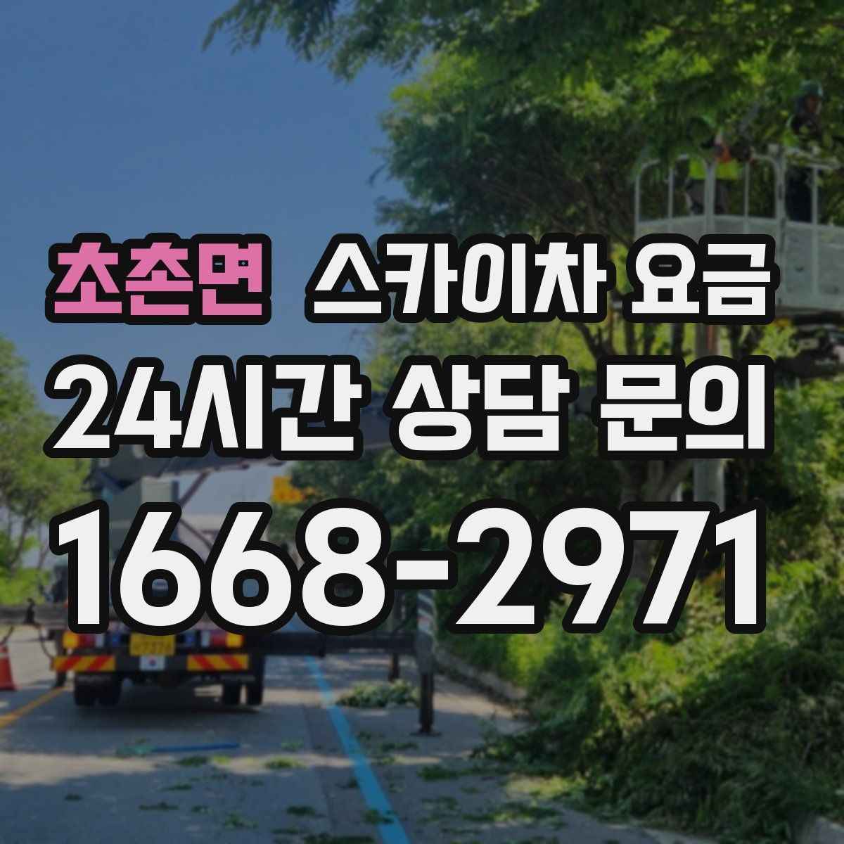 초촌면 스카이차 요금