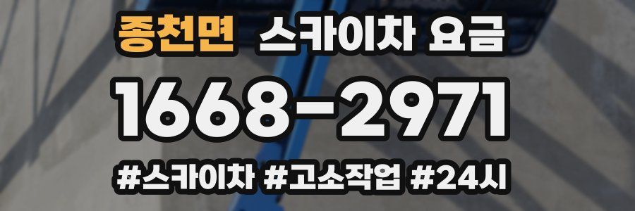 종천면 스카이차 요금