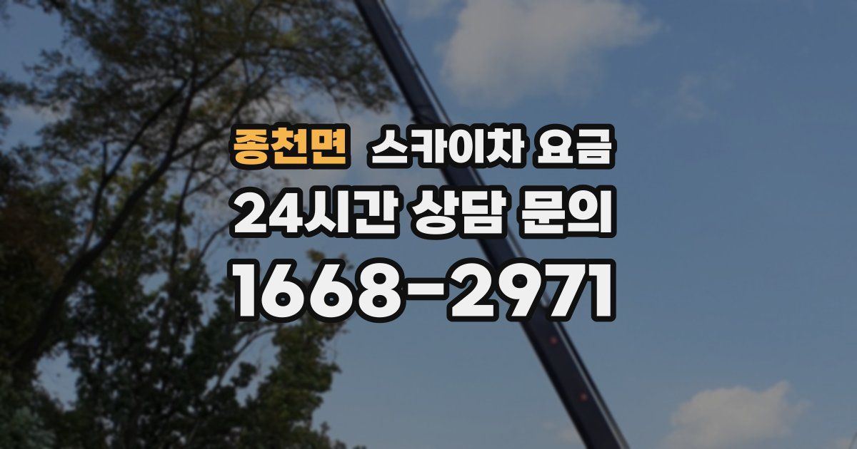 종천면 스카이차 요금