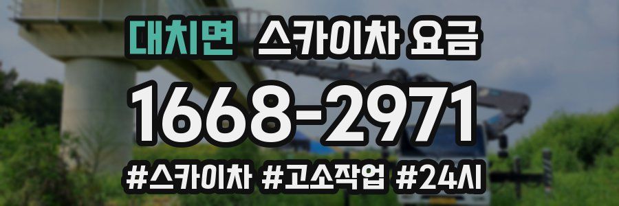 대치면 스카이차 요금