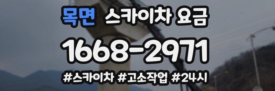 목면 스카이차 요금