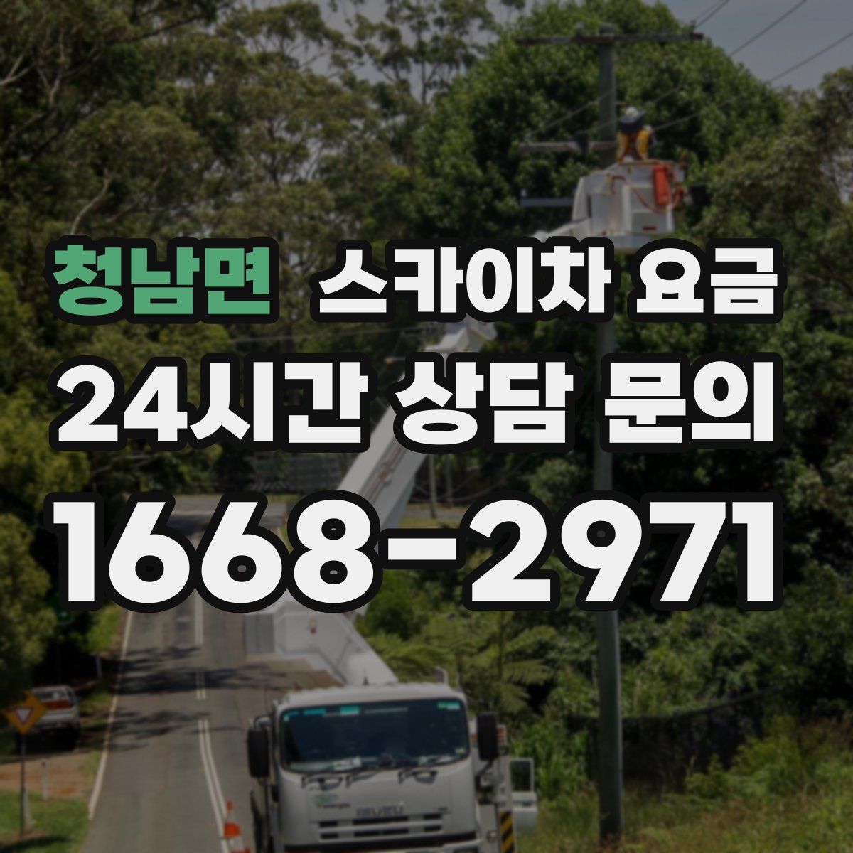 청남면 스카이차 요금