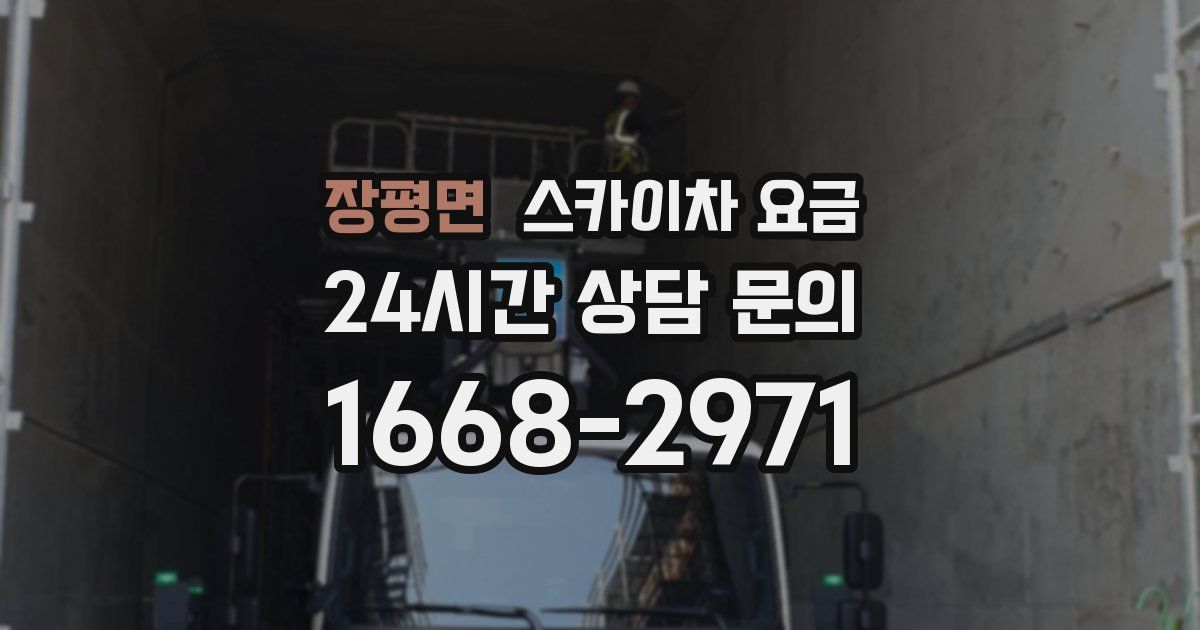 장평면 스카이차 요금