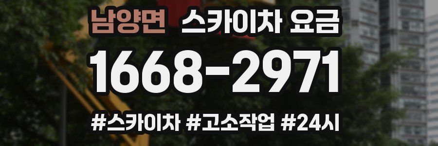 남양면 스카이차 요금