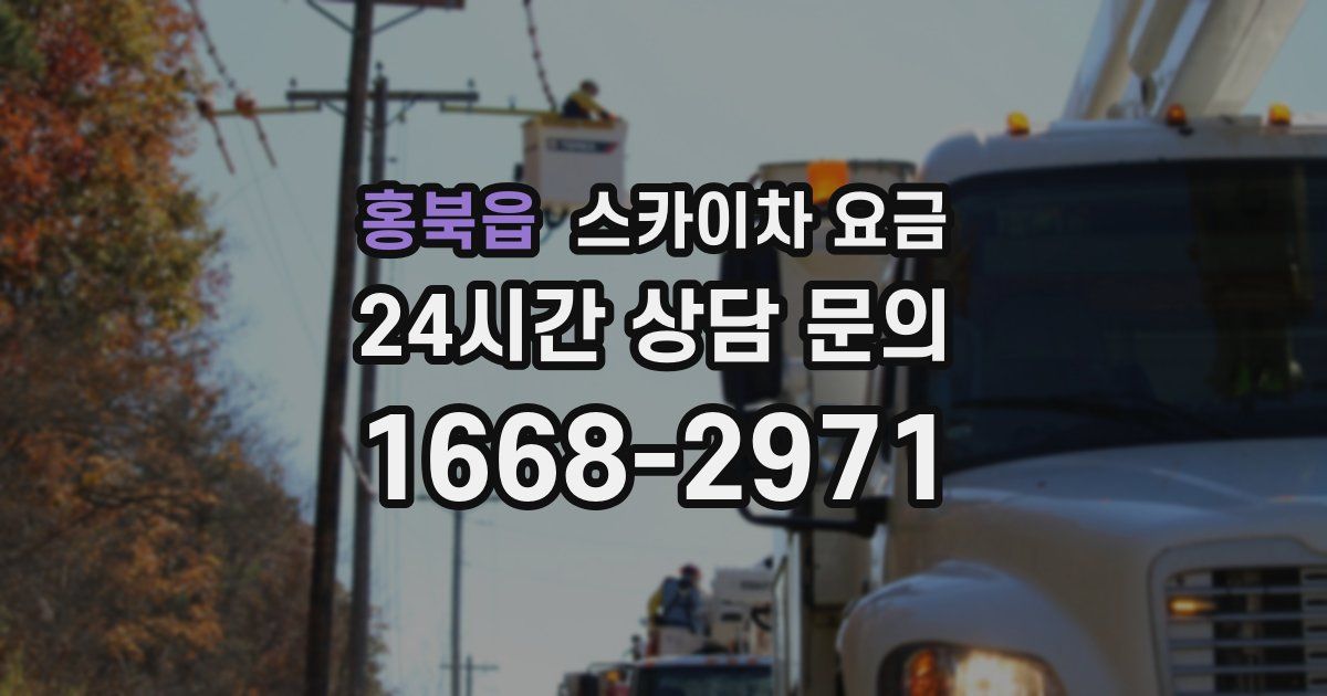 홍북읍 스카이차 요금