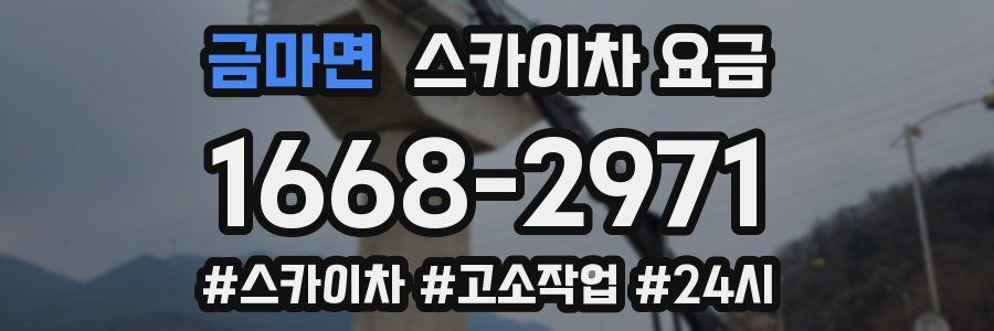 금마면 스카이차 요금
