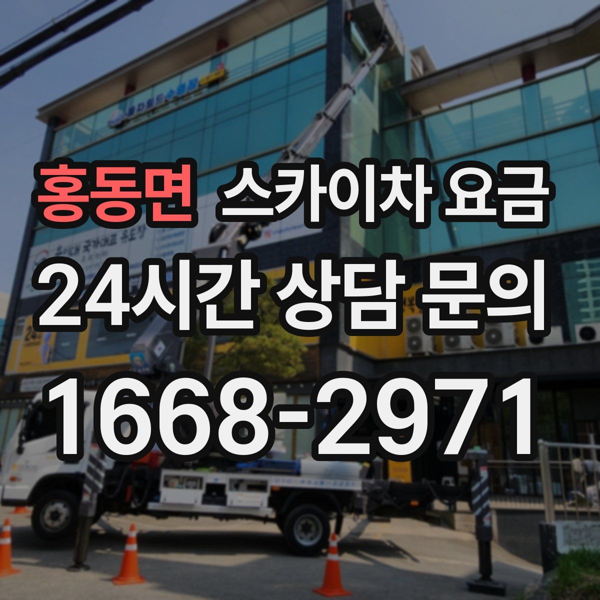 홍동면 스카이차 요금