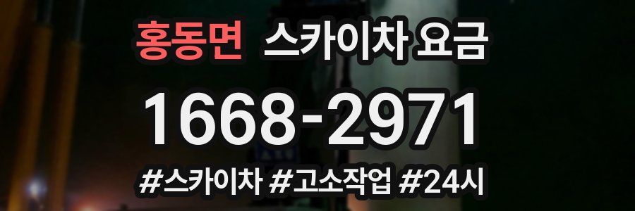 홍동면 스카이차 요금