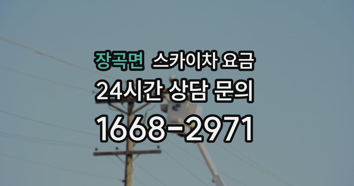 장곡면 스카이차 요금