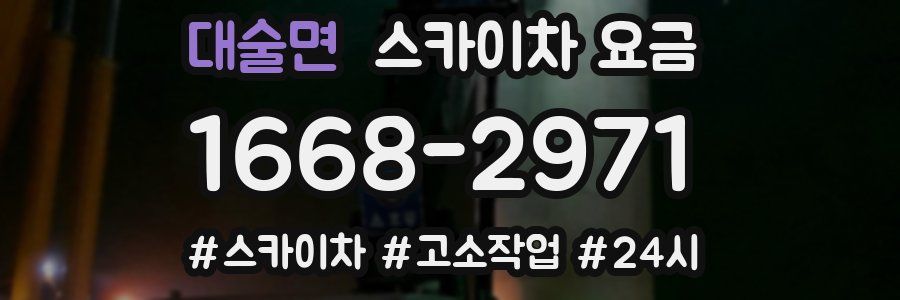 대술면 스카이차 요금