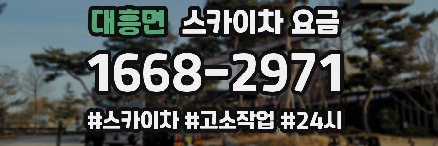 대흥면 스카이차 요금