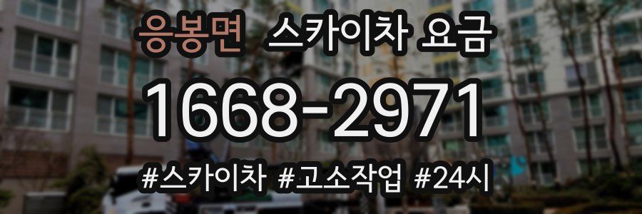 응봉면 스카이차 요금