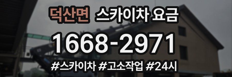 덕산면 스카이차 요금