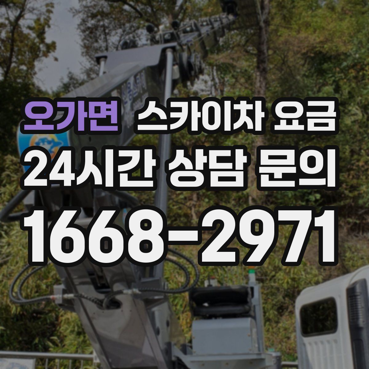 오가면 스카이차 요금