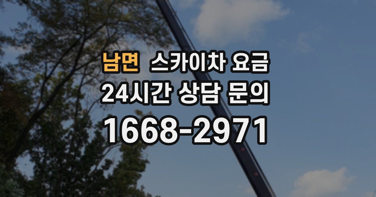 남면 스카이차 요금