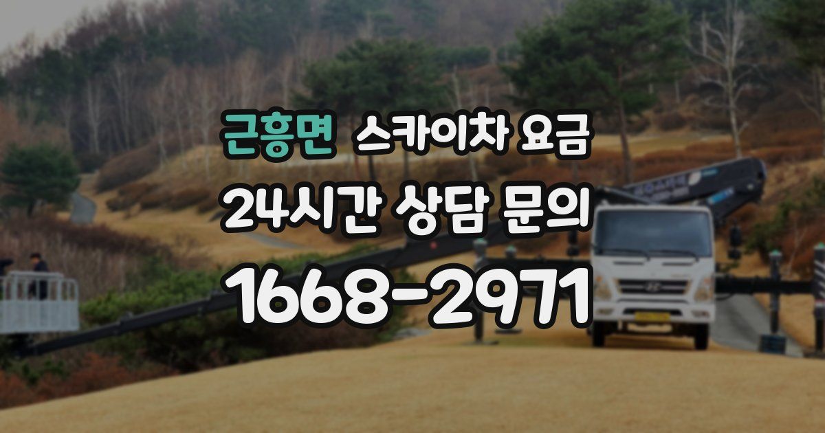 근흥면 스카이차 요금