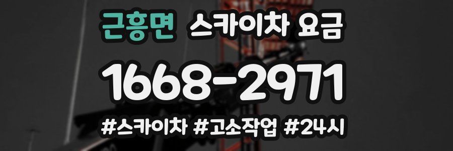 근흥면 스카이차 요금