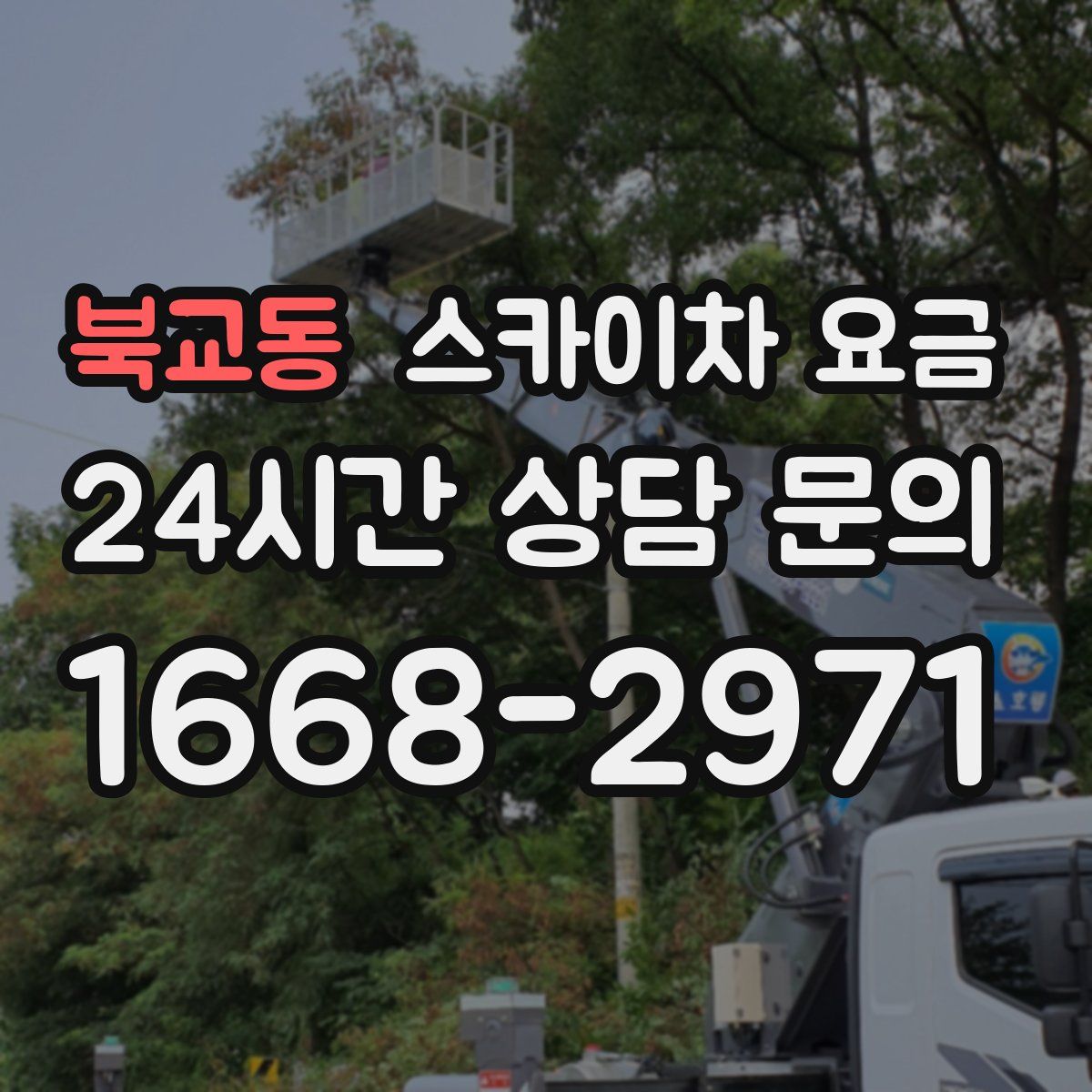 북교동 스카이차 요금