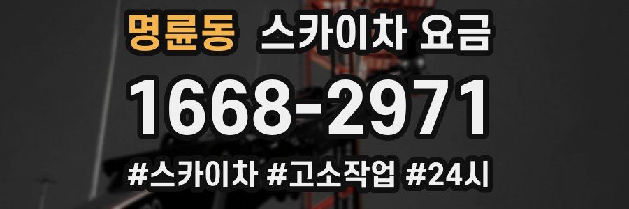 명륜동 스카이차 요금