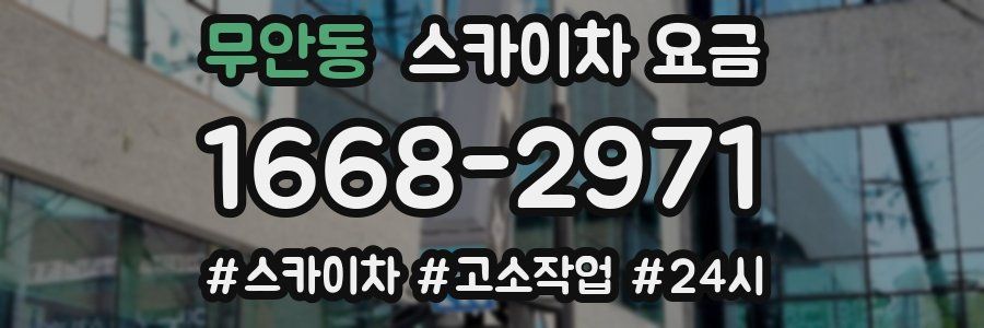 무안동 스카이차 요금