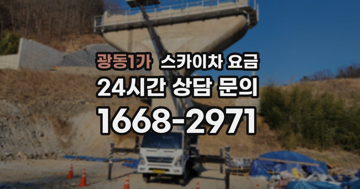광동1가 스카이차 요금