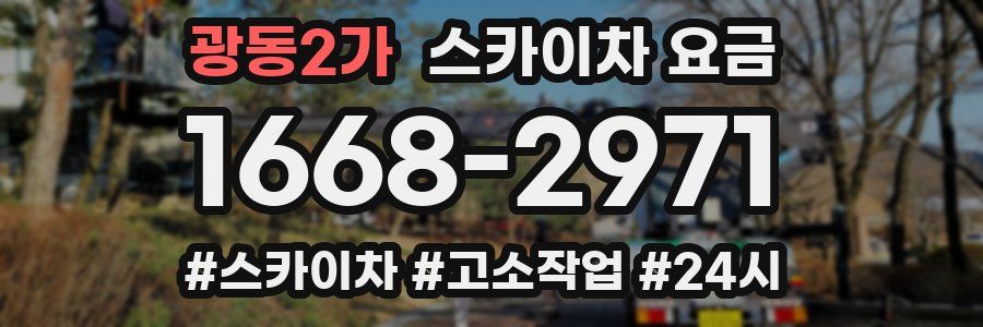 광동2가 스카이차 요금