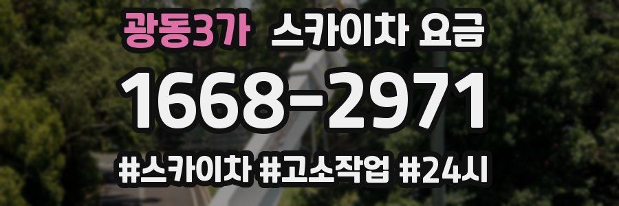 광동3가 스카이차 요금
