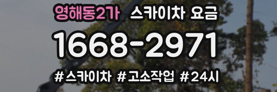 영해동2가 스카이차 요금