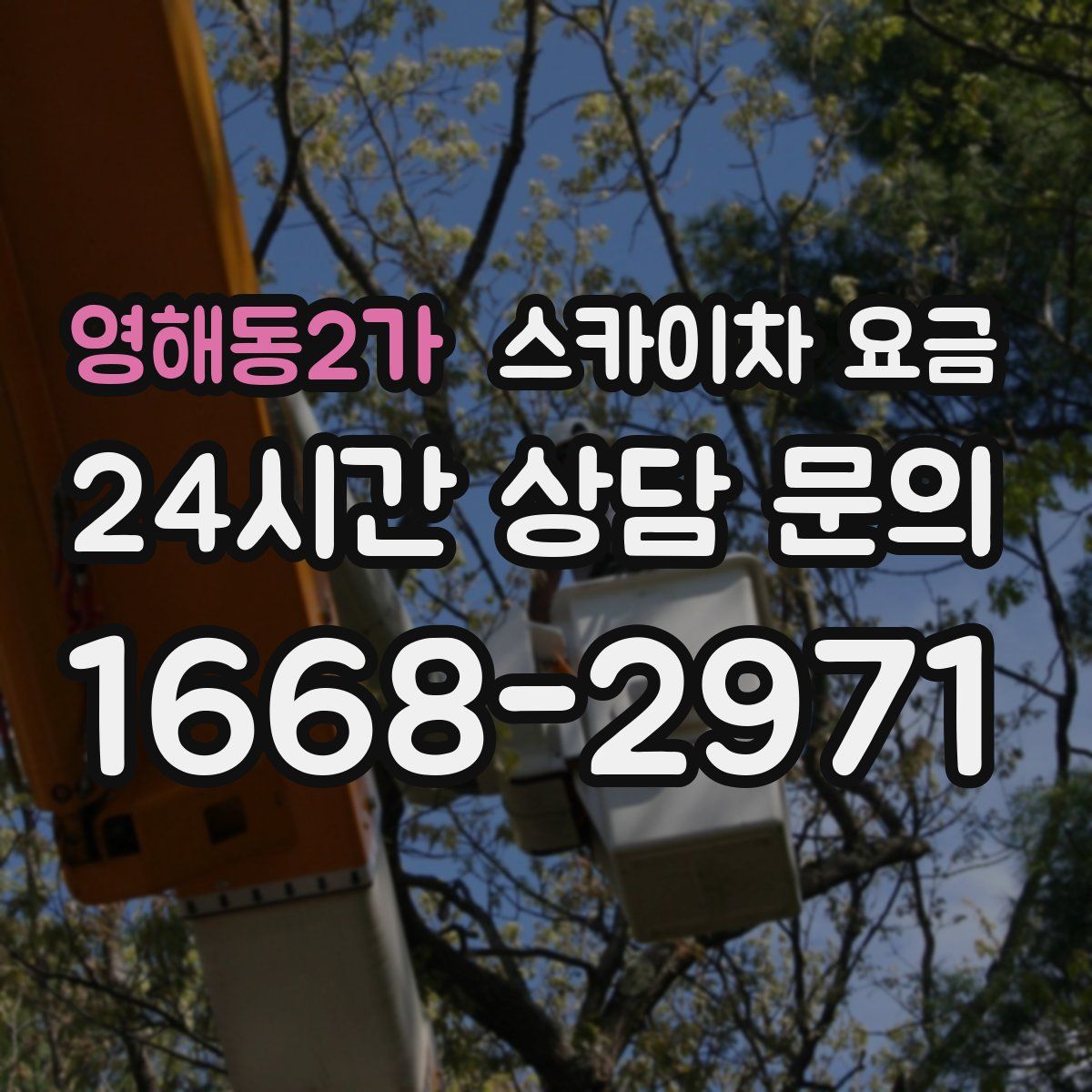 영해동2가 스카이차 요금